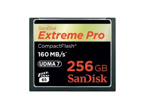 Купить Карта памяти Compact Flash Card 256Gb SanDisk VPG 65 UDMA 7 SDCFXPS-256G-X46